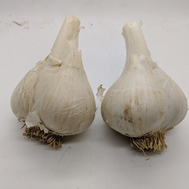 Continental Porcelain garlic bulbs